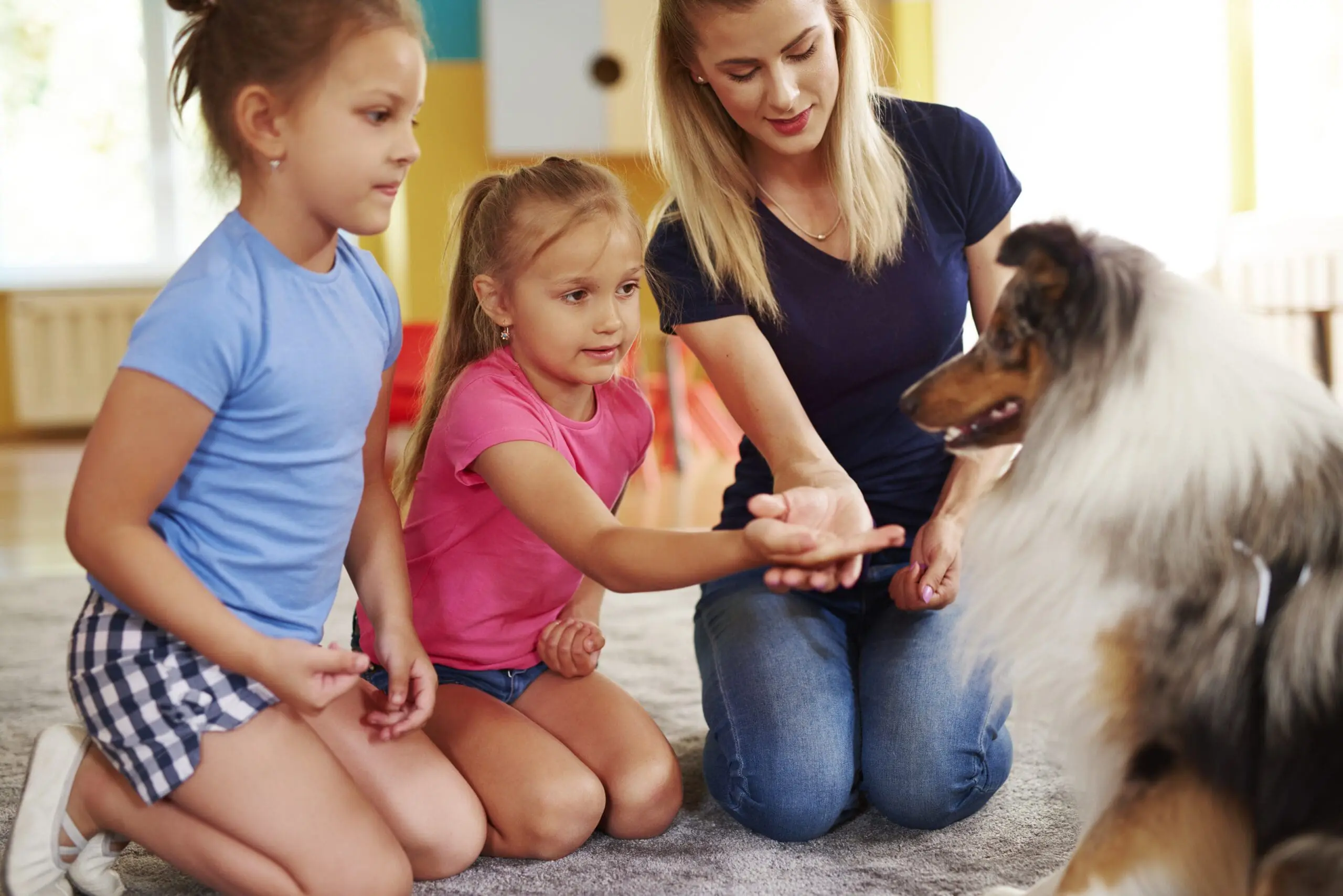 animal assisted therapy