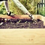 Autism friendly urban farming in Chicago IL