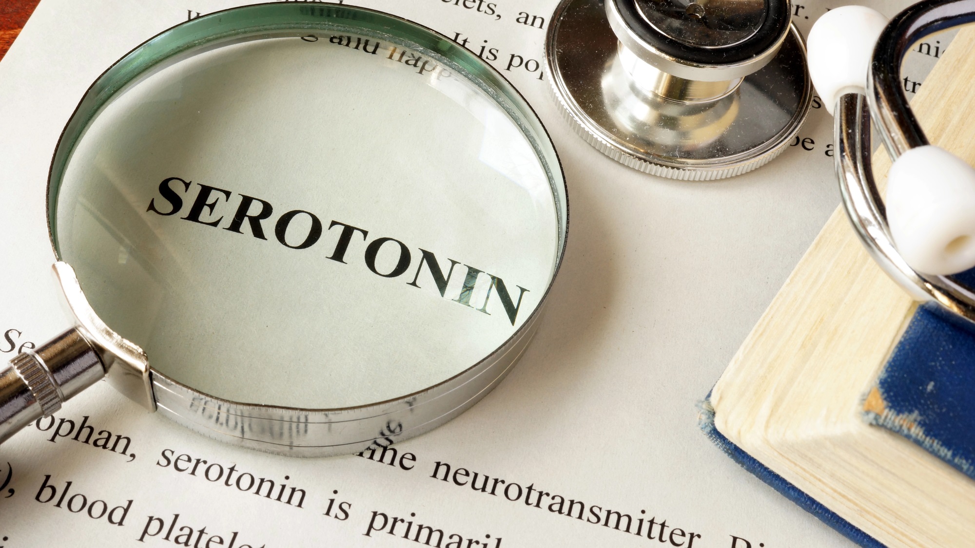 Serotonin research in Autism